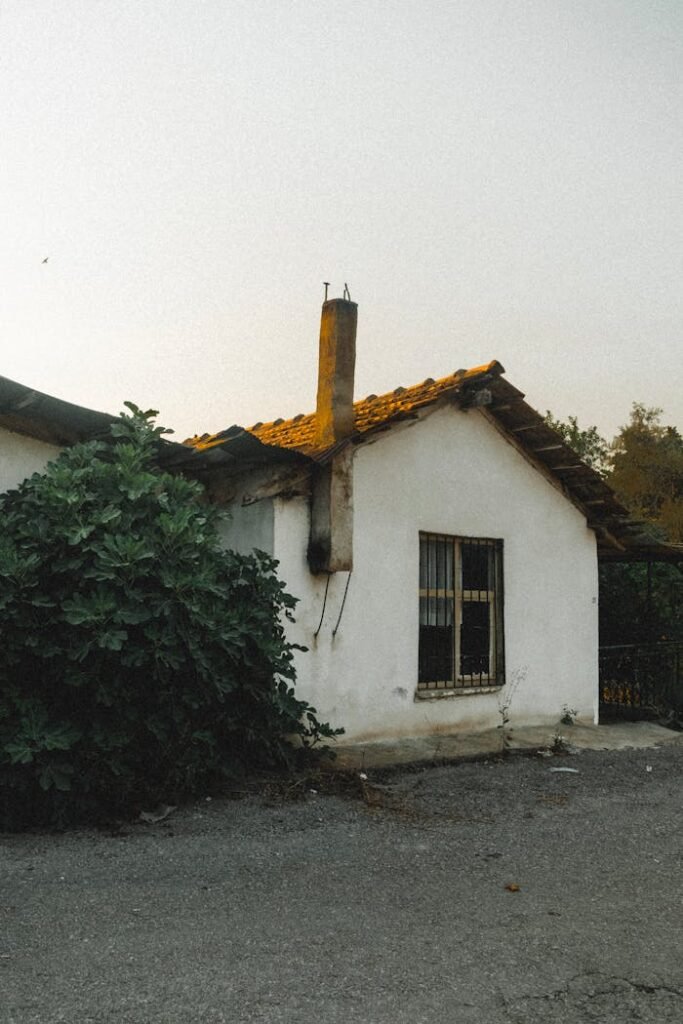 Small House with a Mossy Roof