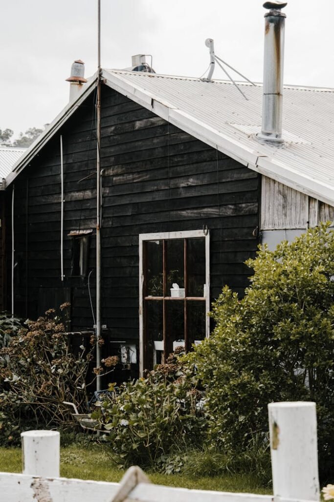 Bushes around Wooden House